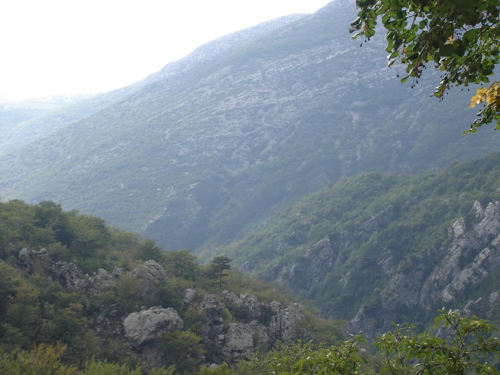 Holiday Home Paklenica Starigrad Paklenica Rom bilde
