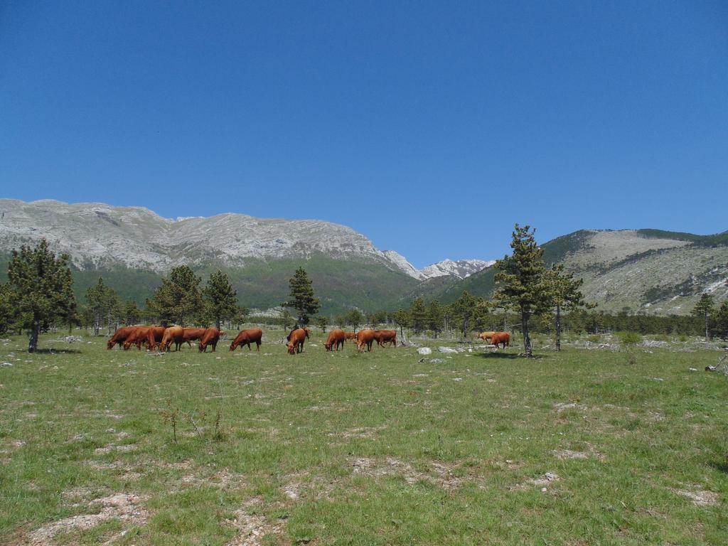 Holiday Home Paklenica Starigrad Paklenica Eksteriør bilde