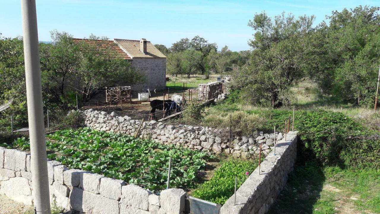 Holiday Home Paklenica Starigrad Paklenica Eksteriør bilde